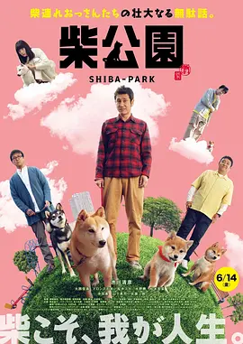 最近国语在线观看
