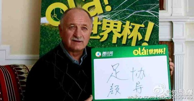 手机免费播放