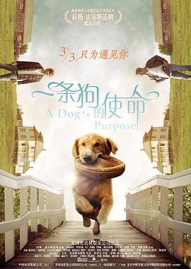 完结高清影视