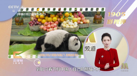 完整版电影在线观看